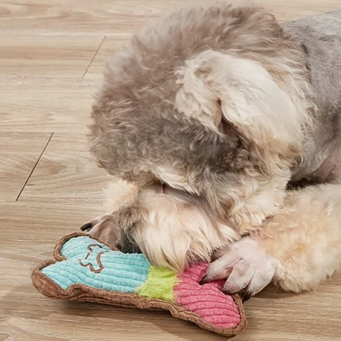 6d9da88ad708449d4a968b5c75402b2c 6d9da88ad708449d4a968b5c75402b2c